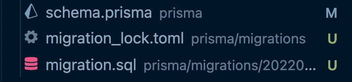 Files generated by the Prisma migration